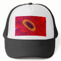 Red Daisy Gerber Flower Painting Art - Multi hats