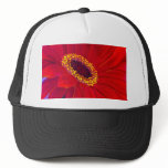 Red Daisy Gerber Flower Painting Art - Multi hats