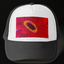 Red Daisy Gerber Flower Painting Art - Multi hats