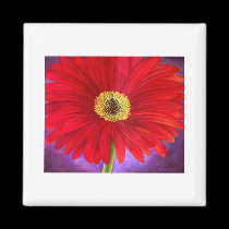 Red Daisy Gerber Flower Painting Art - Multi magnets