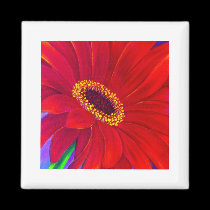 Red Daisy Gerber Flower Painting Art - Multi magnets