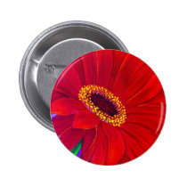 Red Daisy Gerber Flower Painting Art - Multi buttons
