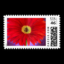 Red Daisy Gerber Flower Painting Art - Multi postage