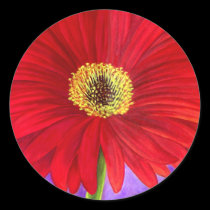 Red Daisy Gerber Flower Painting Art - Multi stickers