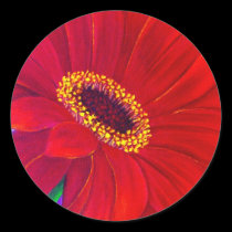 Red Daisy Gerber Flower Painting Art - Multi stickers