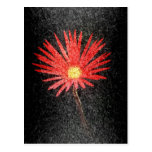 Red Daisy on black background | Abstract Art Postcards