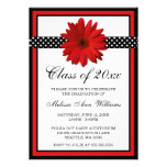 Red Daisy Polka Dots Graduation Announcement