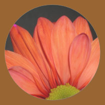 Red daisy stickers