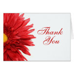 Red Daisy Thank You Card
