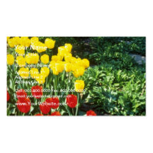 Red Darwin hybrid tulips flowers Business Card Templates