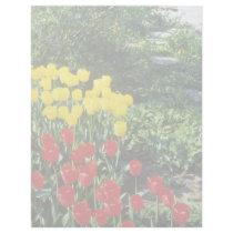 Red Darwin hybrid tulips flowers Customized Letterhead
