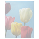 Red Darwin Tulips flowers Customized Letterhead