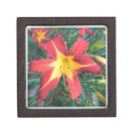Red Day Lily premium gift boxes