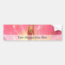 Red Daylily Close Up Bumper Sticker