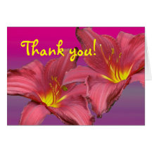 Red Daylily Coordinating Items Greeting Cards