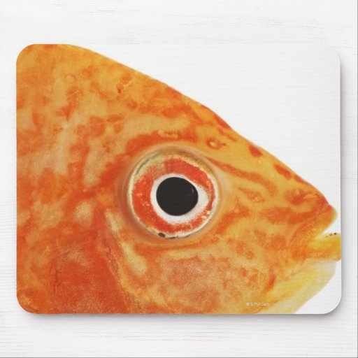 Red Deacon fish Mousepad