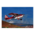 Red Decathlon posters