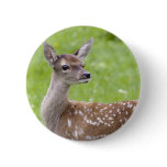 Red Deer Fawn Badge Pin
