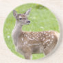 Red Deer Fawn Coaster