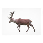Red Deer. Personalized Invitation