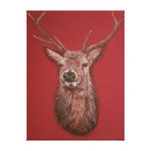 Red Deer Stag Stretched Canvas Print