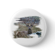 Red deer staring down. buttons