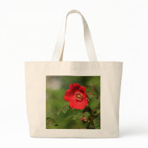 Red Delight bags