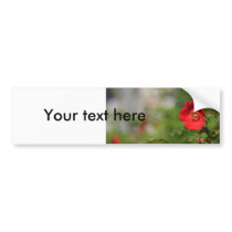 Red Delight bumper stickers