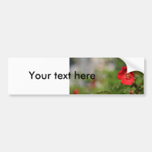 Red Delight Bumper Stickers