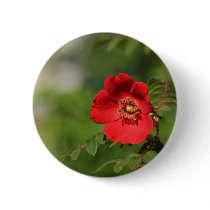 Red Delight buttons