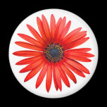 Red Devil magnets