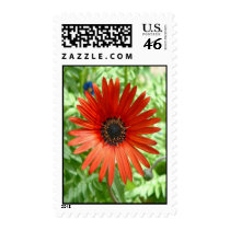 Red Devil postage postage