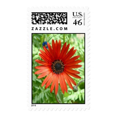 Red Devil postage by CHOLOEPUS