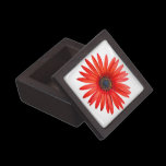 Red Devil premium gift boxes