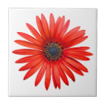Red Devil tiles
