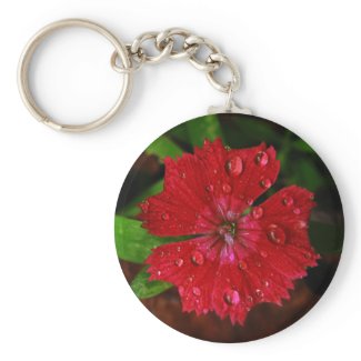Red Dianthus With Raindrops keychain