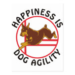 Red Doberman Agility Happiness Post Card