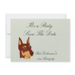Red Doberman Pinschers are Amazing Invite