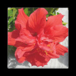 Red Double Hibiscus Magnet
