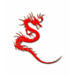Red dragon t shirt