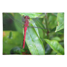 red Dragonfly Garden Place Mat