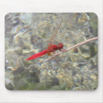 Red Dragonfly mousepads