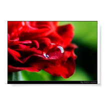 Red Droplet posters