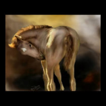 Red Dun Filly Large Poster posters