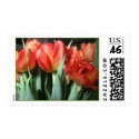 Red Dutch Tulips Postage Stamps