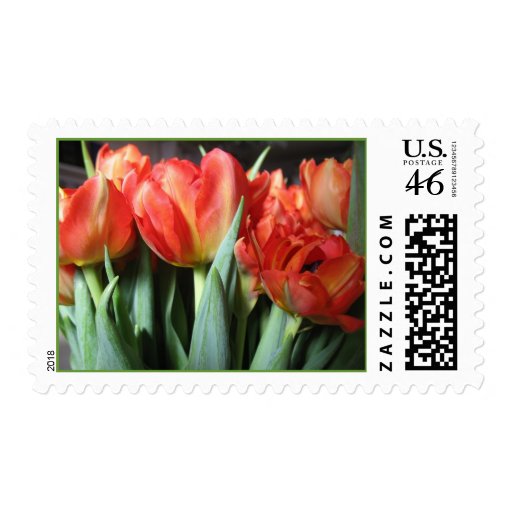 Red Dutch Tulips Postage Stamps