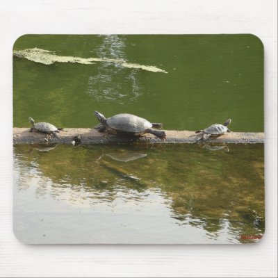 red ear sliders mouse pad by denvercris