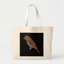 Red-eared Firetail Finch - Stagonopleura oculata Bags