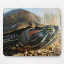 red-eared-slider mousepads by denvercris red-eared-slider mousepads