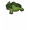 Red Eared Slider t-shirts